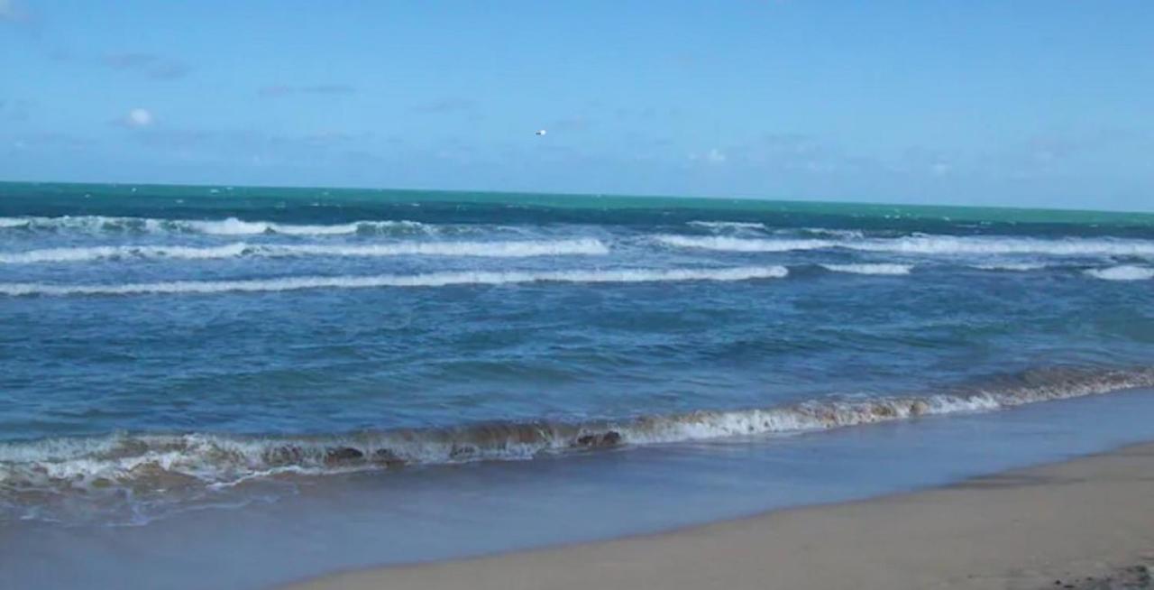 Na Beira-mar Do Marulhos Muro Alto Porto Galinhas Resort Porto de Galinhas